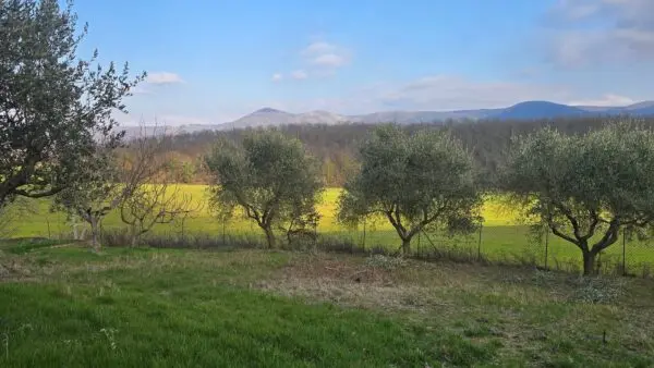 Casale via Giacomo Matteotti 2, Acquasparta