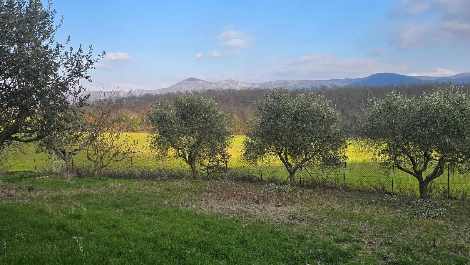 Immagine per Casale in vendita a Acquasparta via Giacomo Matteotti 2