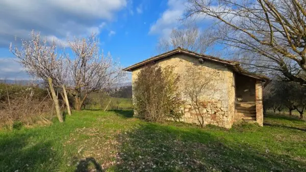 Casale via Giacomo Matteotti 2, Acquasparta