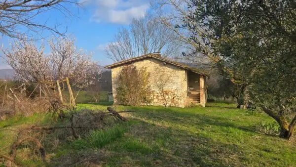 Casale via Giacomo Matteotti 2, Acquasparta