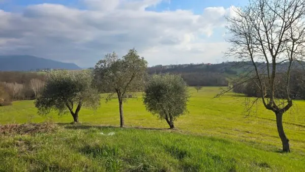Casale via Dante Alighieri 13, Acquasparta