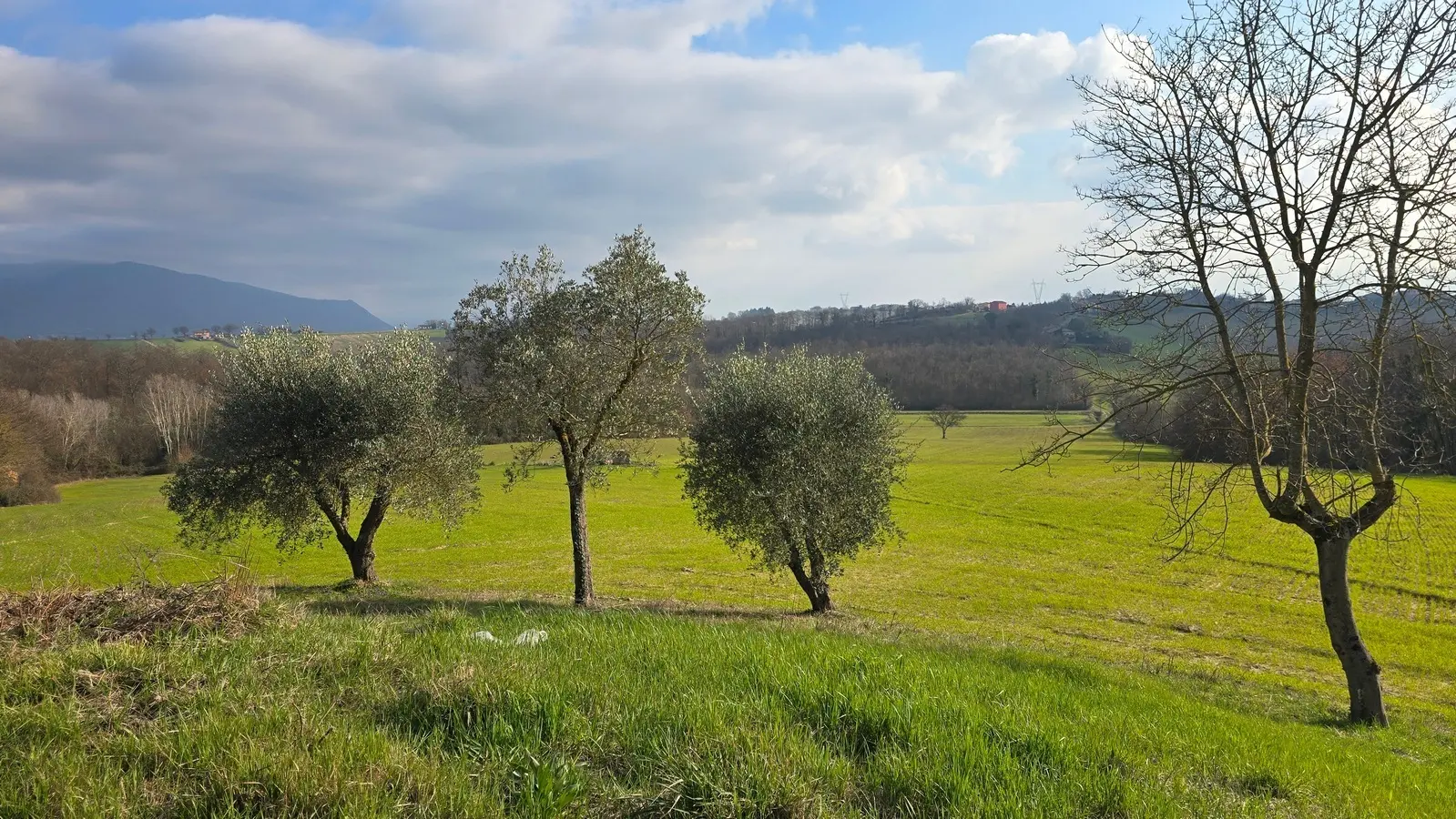 Immagine per Casale in vendita a Acquasparta via Dante Alighieri 13