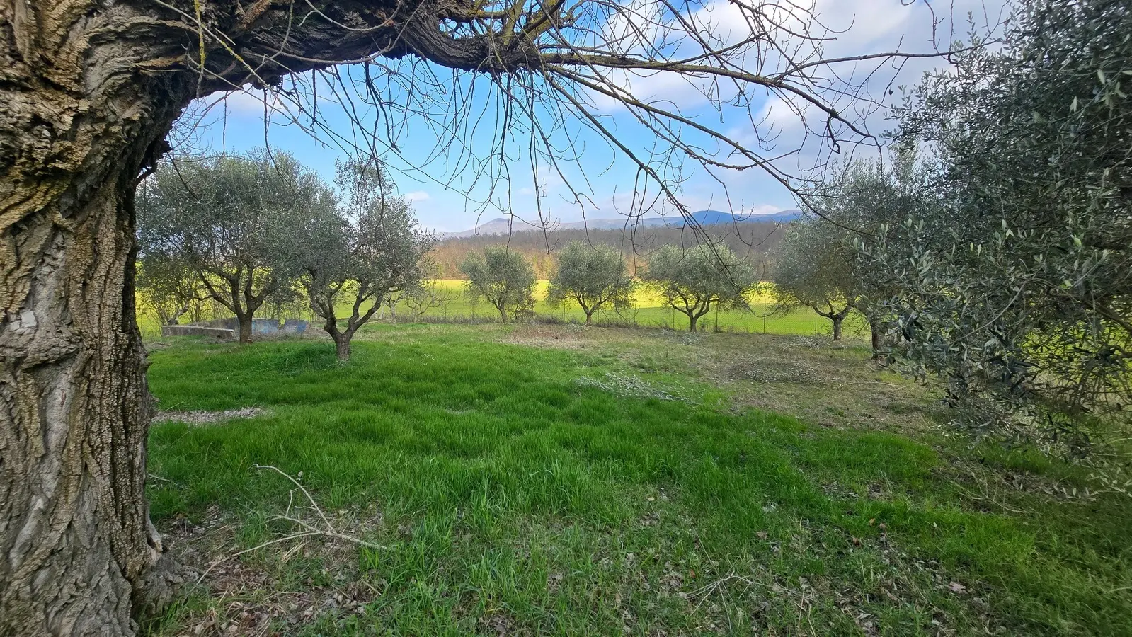 Immagine per Casale in vendita a Acquasparta via Dante Alighieri 13