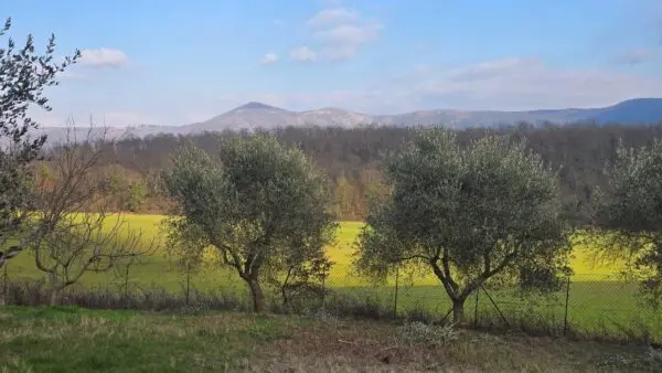 Casale via Dante Alighieri 13, Acquasparta