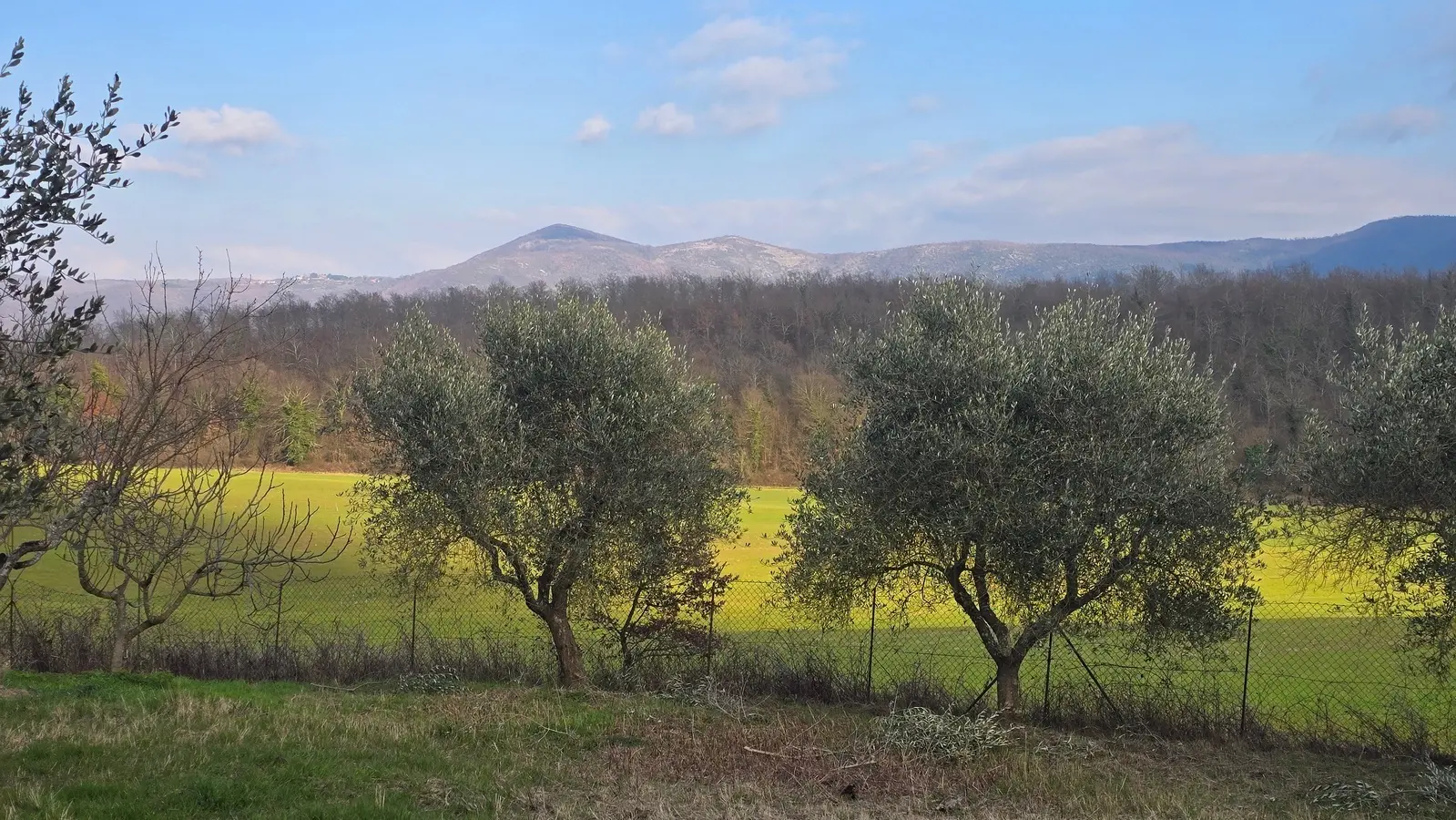 Immagine per Casale in vendita a Acquasparta via Dante Alighieri 13