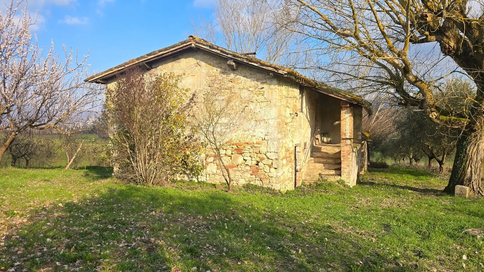 Immagine per Casale in vendita a Acquasparta via Dante Alighieri 13