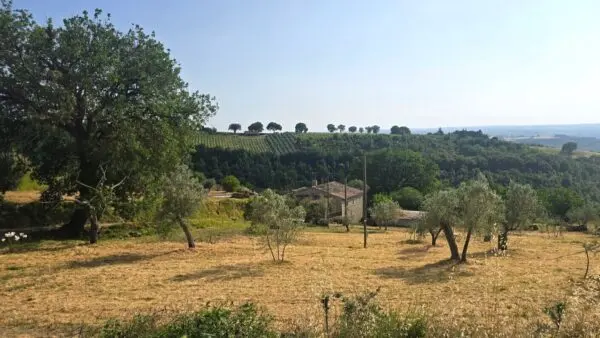 Casale via Vocabolo Menicaglie 11, Baschi