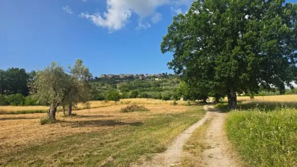 Casale via Vocabolo Menicaglie 11, Baschi