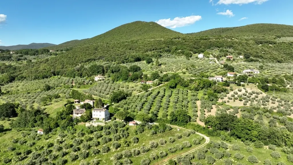 Immagine per Casale in vendita a Alviano via Località Calanchi 6
