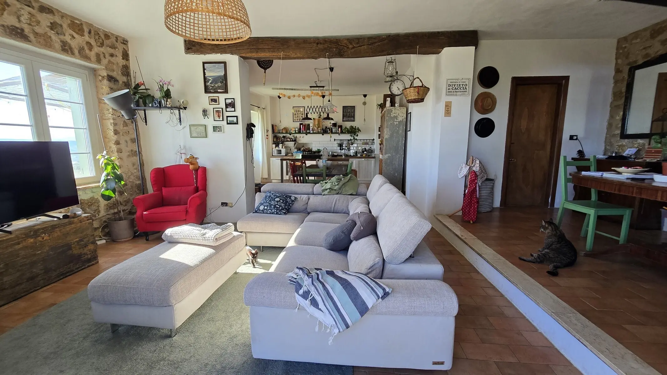 Immagine per Casale in vendita a Alviano via Località Calanchi 6