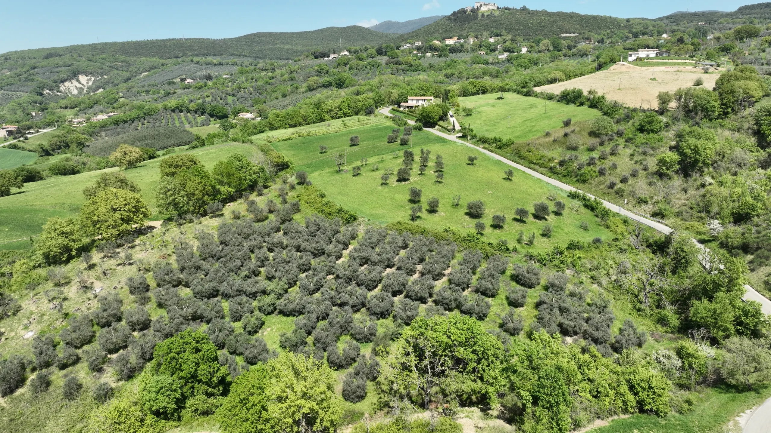 Immagine per Casale in vendita a Guardea via Selvarella