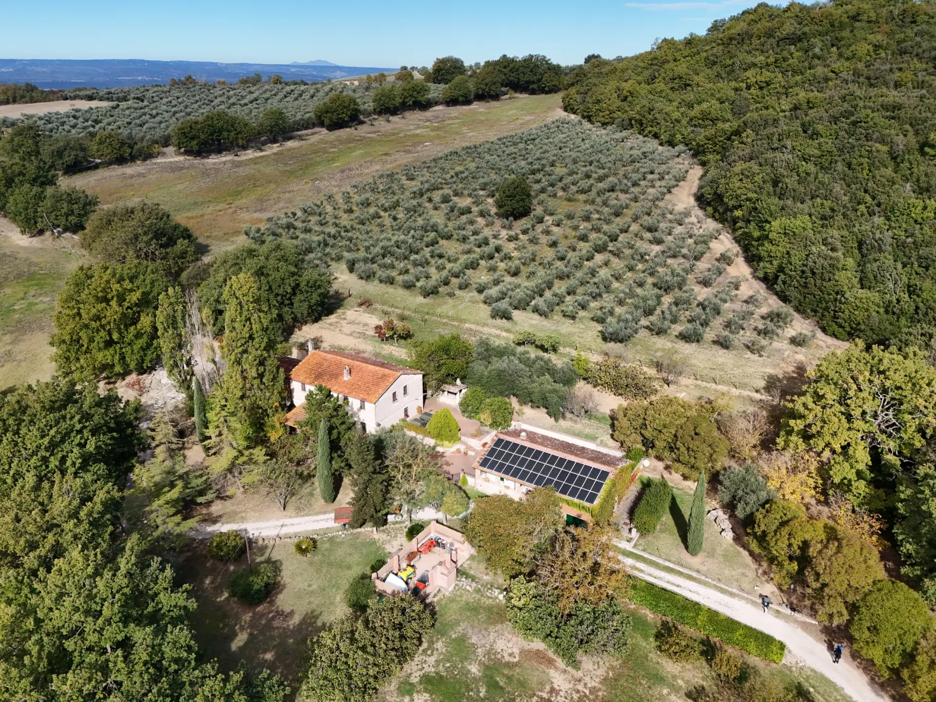 Immagine per Casale in vendita a Amelia strada Di Palliccio 44