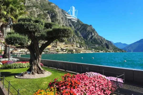 Appartamento Torri Del Benaco
