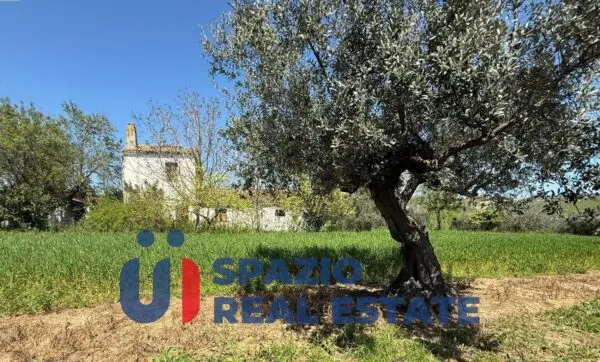 Casale strada Fagnano, Città Sant'Angelo