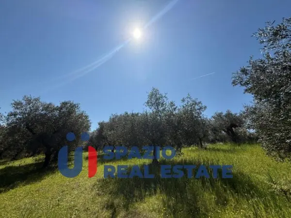 Immagine per Casale in vendita a Città Sant'Angelo strada Fagnano