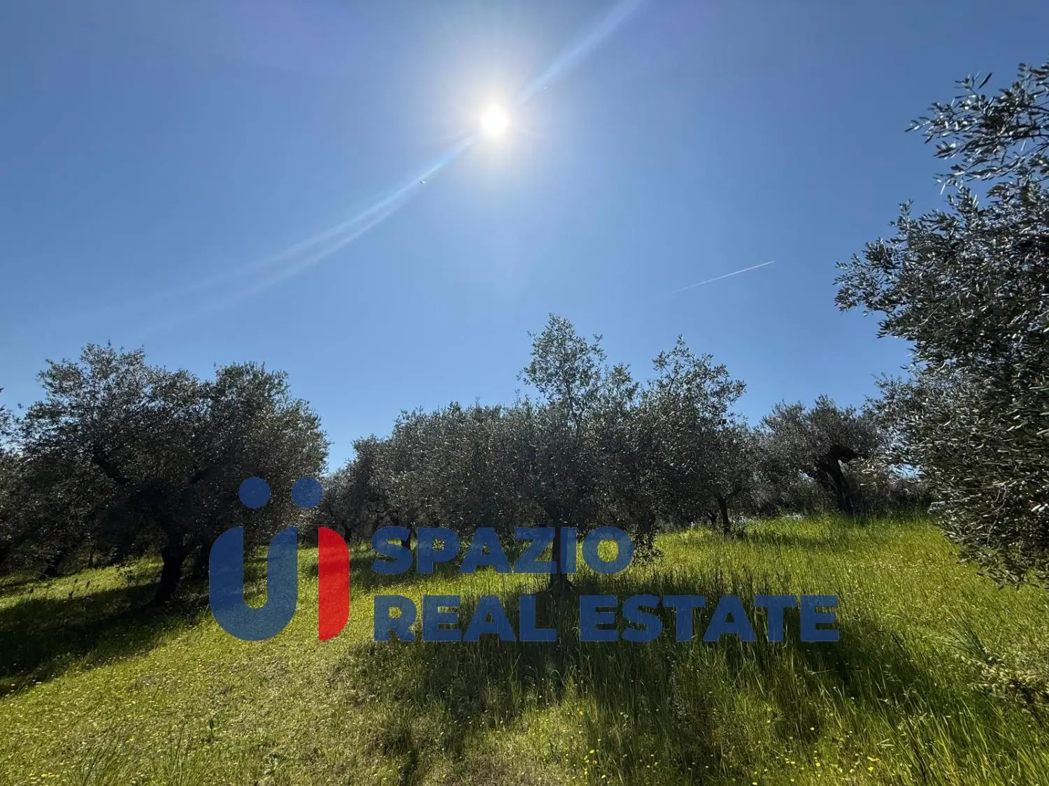 Immagine per Casale in vendita a Città Sant'Angelo strada Fagnano