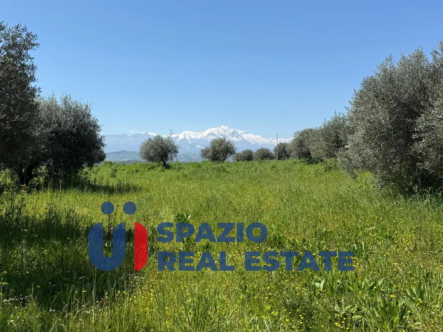 Immagine per Casale in vendita a Città Sant'Angelo strada Fagnano