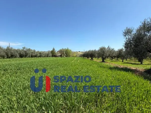Immagine per Casale in vendita a Città Sant'Angelo strada Fagnano