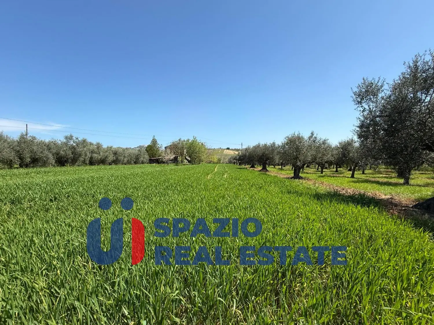 Immagine per Casale in vendita a Città Sant'Angelo strada Fagnano