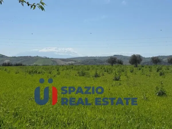 Immagine per Casale in vendita a Città Sant'Angelo strada Fagnano