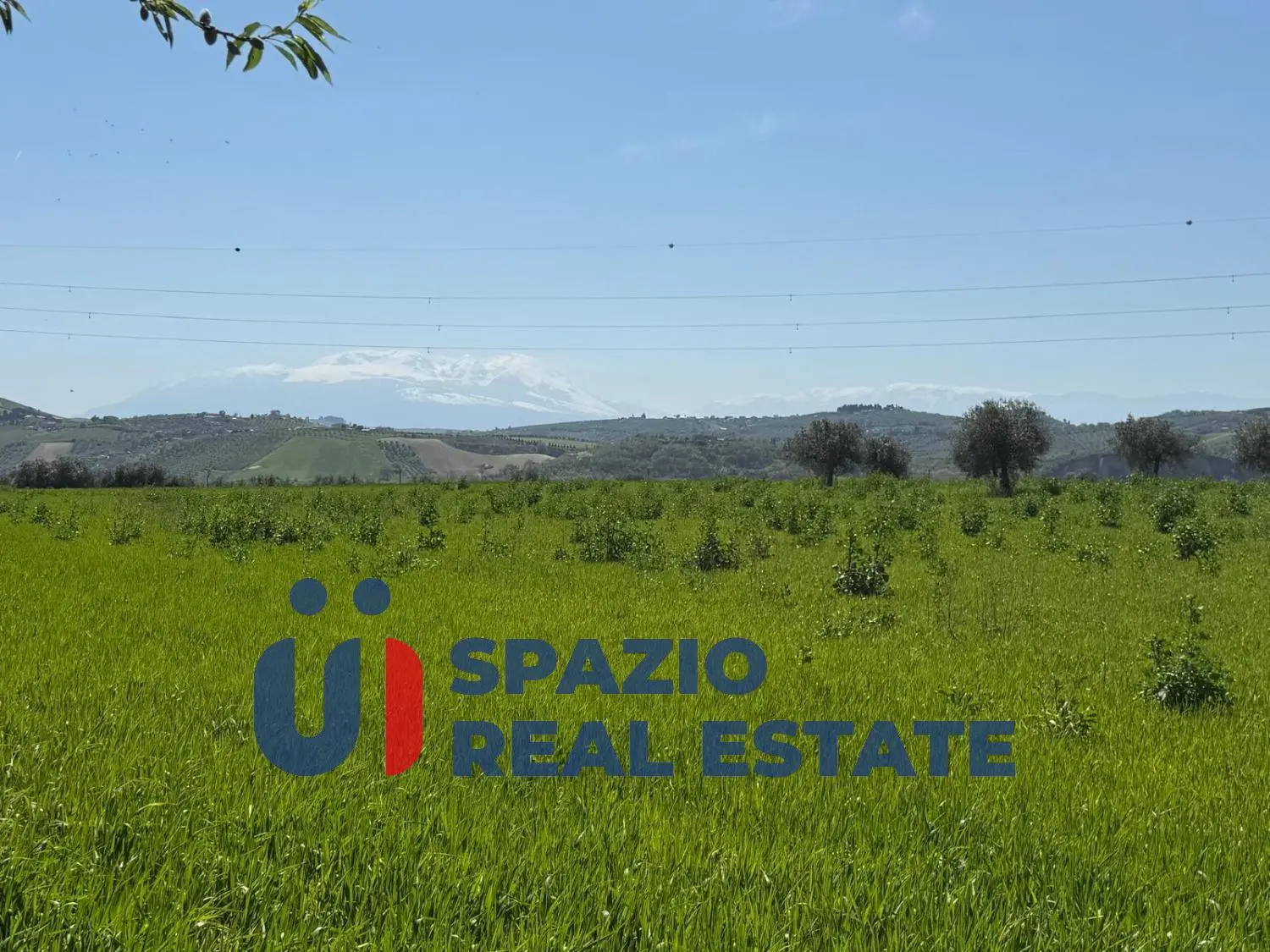 Immagine per Casale in vendita a Città Sant'Angelo strada Fagnano