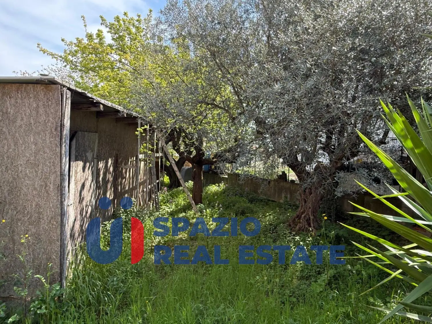 Immagine per Stabile - Palazzo in vendita a Pescara 122