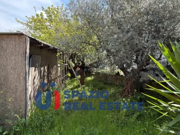Immagine per Terreno commerciale in vendita a Pescara 122
