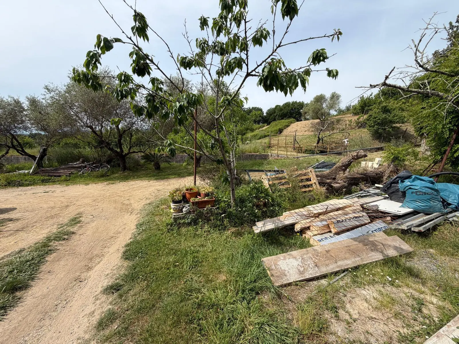 Immagine per Terratetto in vendita a Sarzana via Nave 17