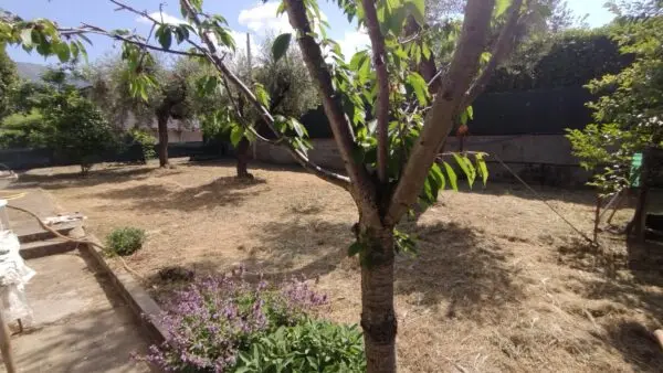 Villa Bifamiliare via Della Pace 52, Castelnuovo Magra