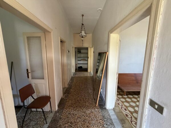 Terratetto via Dei Pini 2, Luni