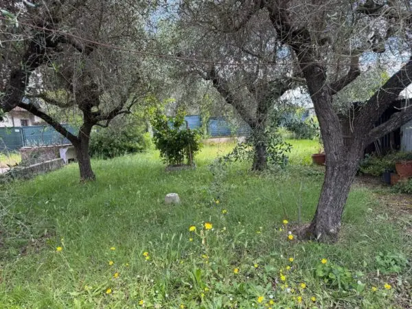 Terratetto via Dei Pini 2, Luni