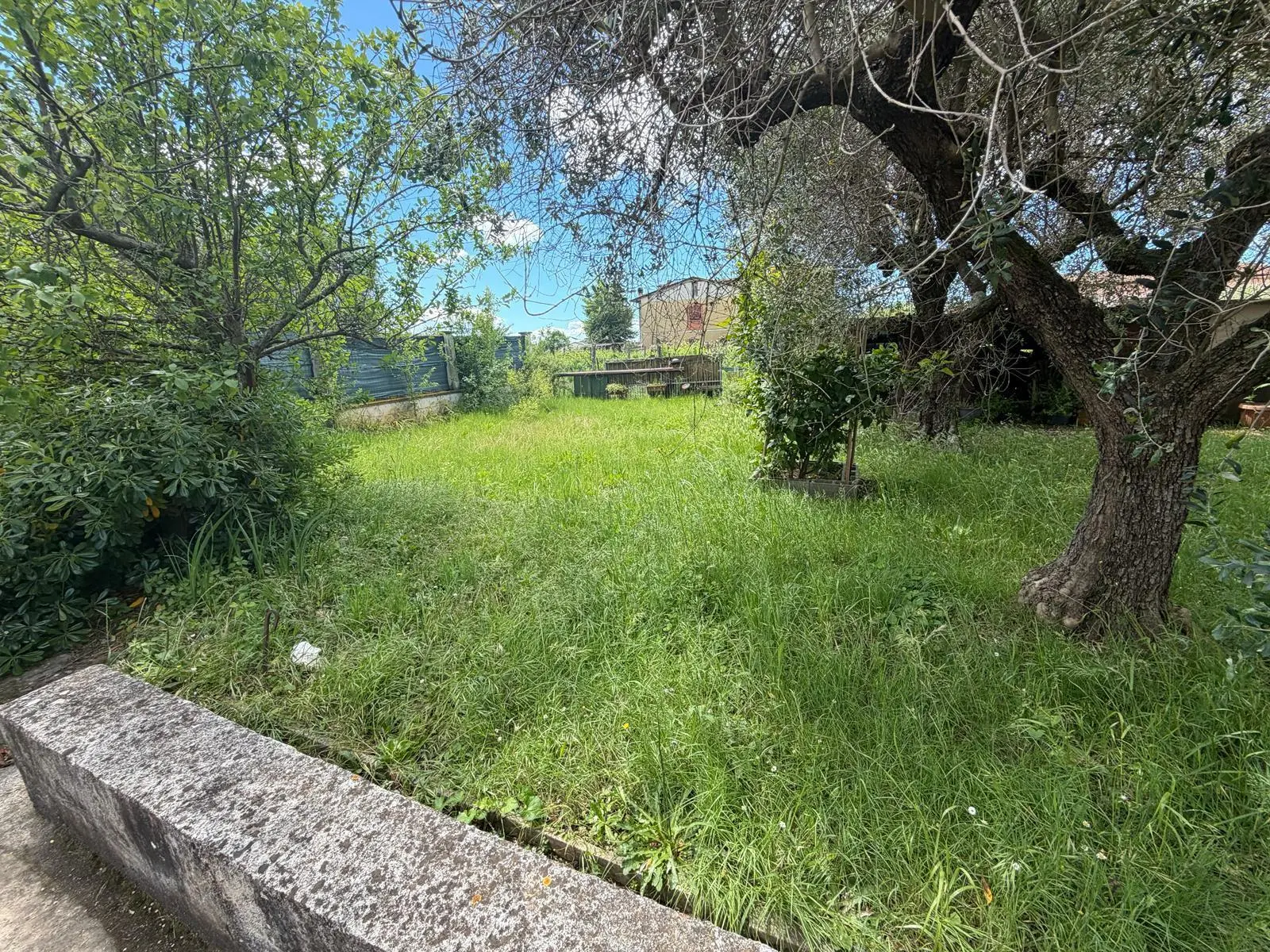 Immagine per Terratetto in vendita a Luni via Dei Pini 2