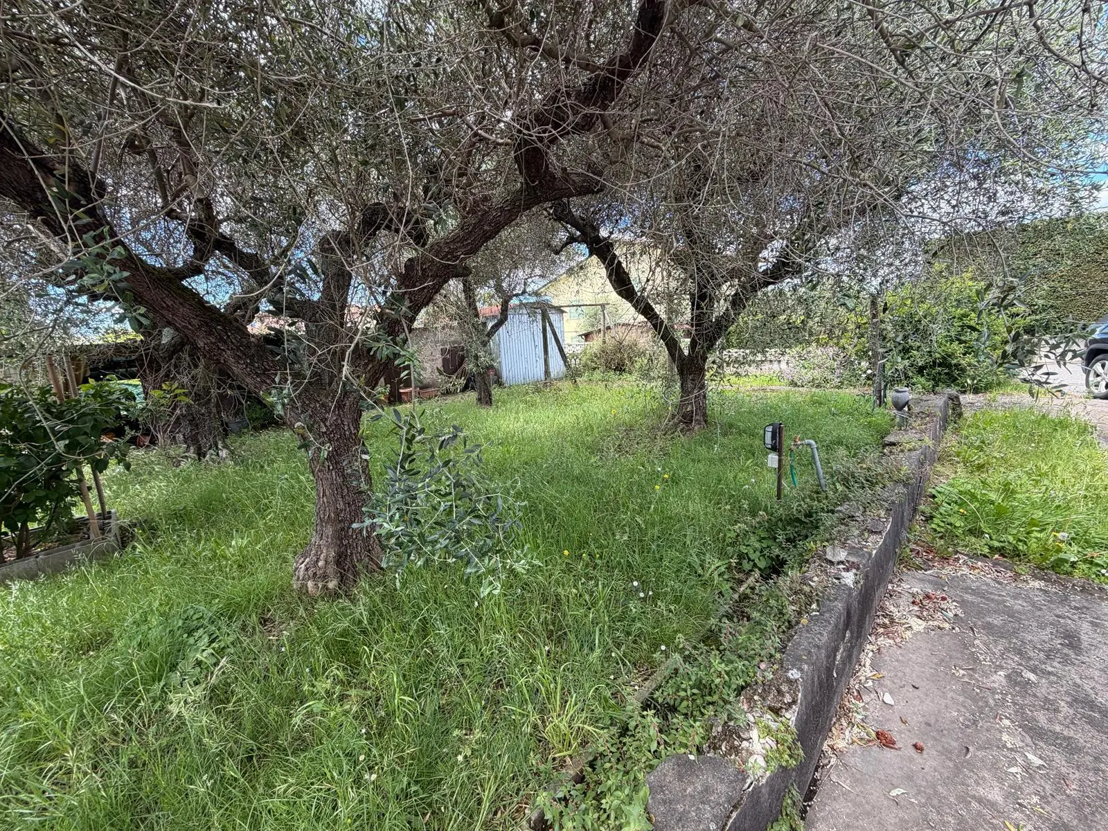 Immagine per Terratetto in vendita a Luni via Dei Pini 2