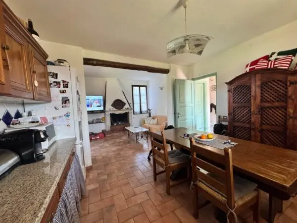 Villa via Isola, Luni