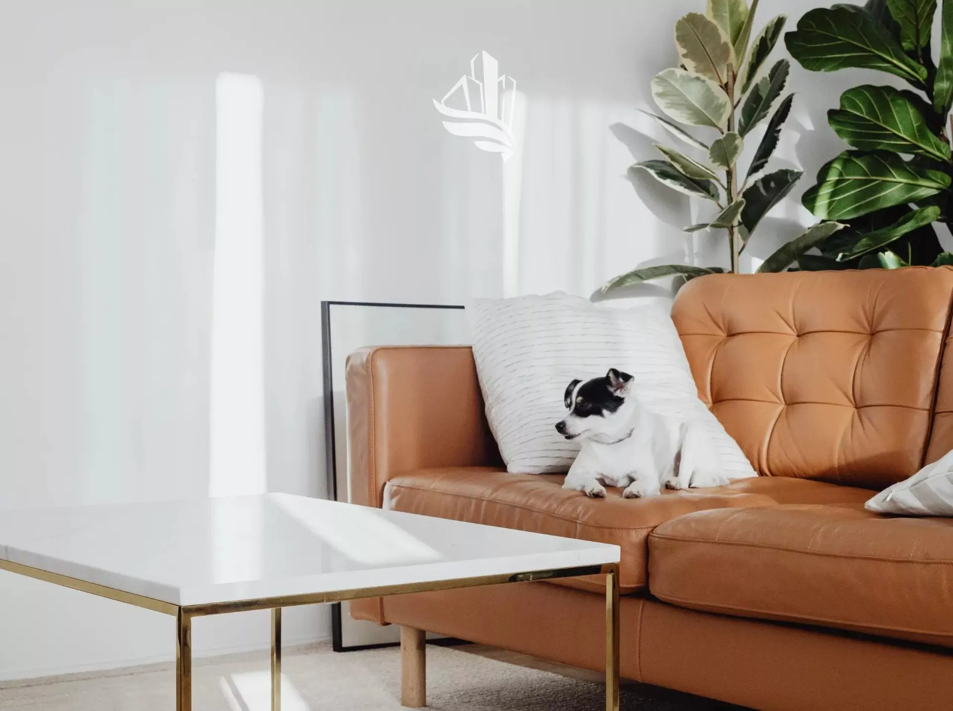 Immagine per Casa indipendente in vendita a Tesimo