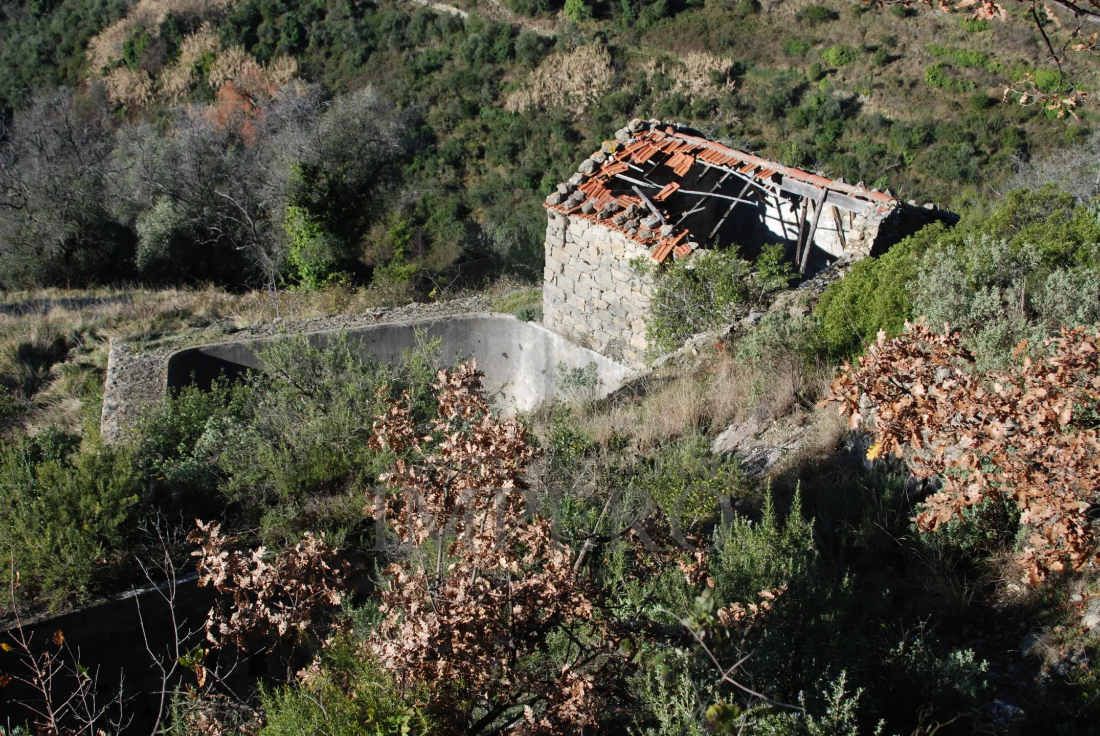 Immagine per Area verde in vendita a Ventimiglia via Case Gina 13