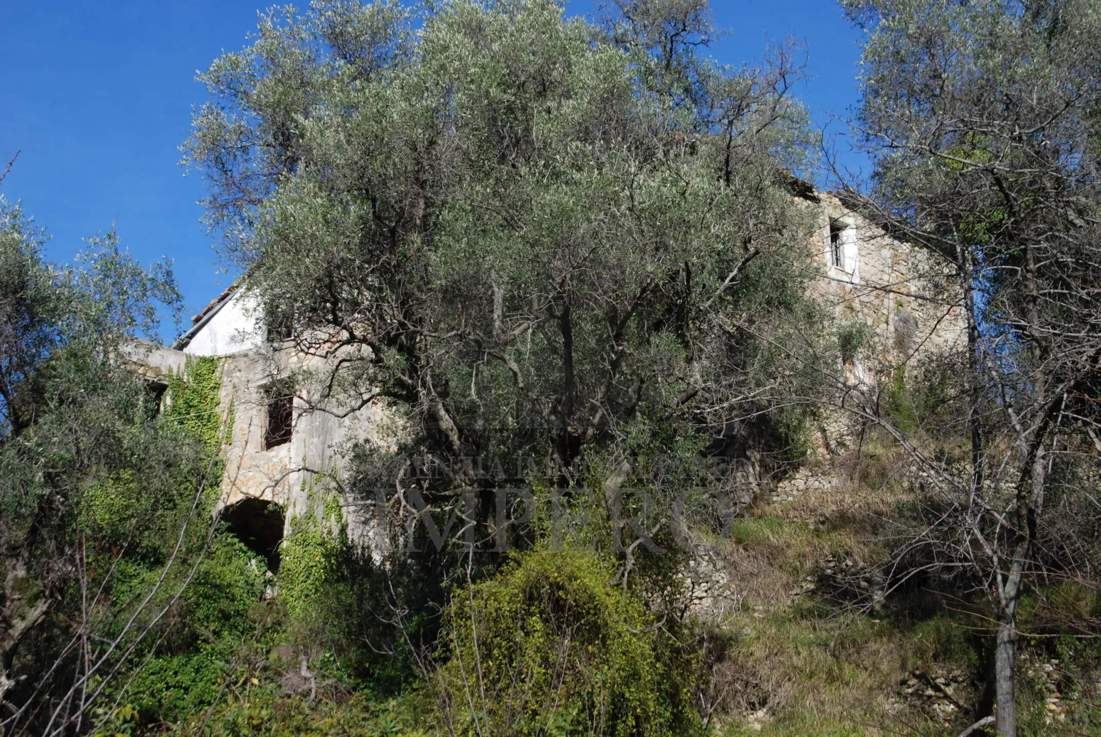 Immagine per Area verde in vendita a Ventimiglia via Case Gina 13