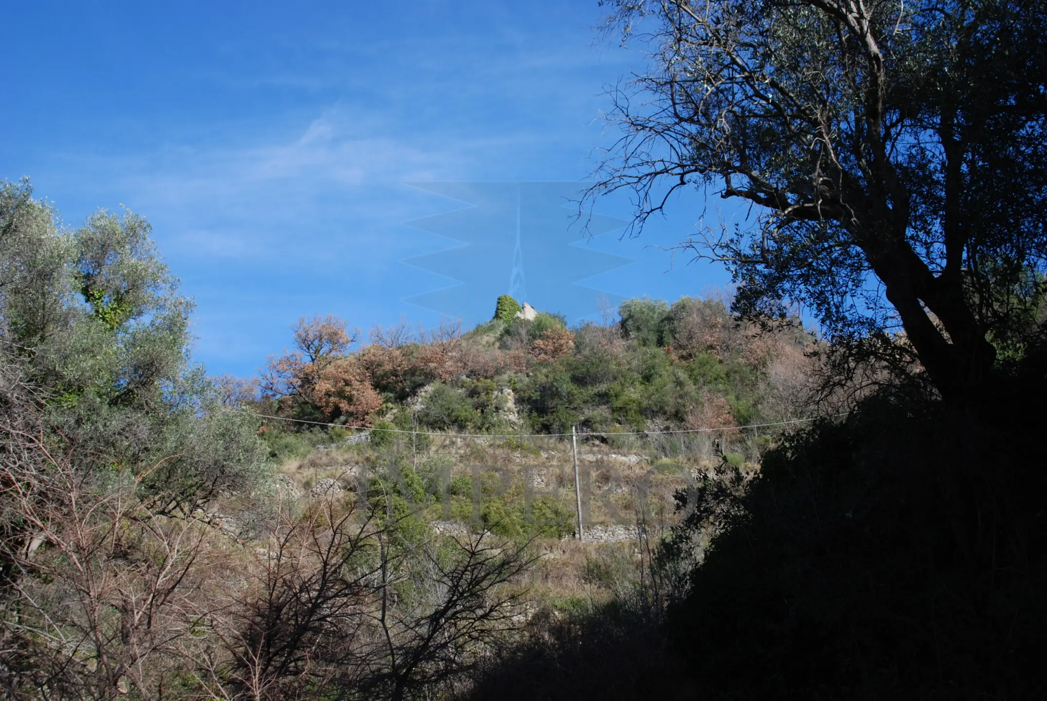 Immagine per Area verde in vendita a Ventimiglia via Case Gina 13
