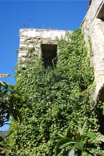 Area Verde via Case Gina 13, Ventimiglia