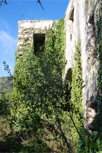 Area Verde via Case Gina 13, Ventimiglia