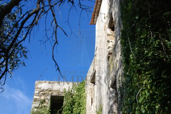 Area Verde via Case Gina 13, Ventimiglia