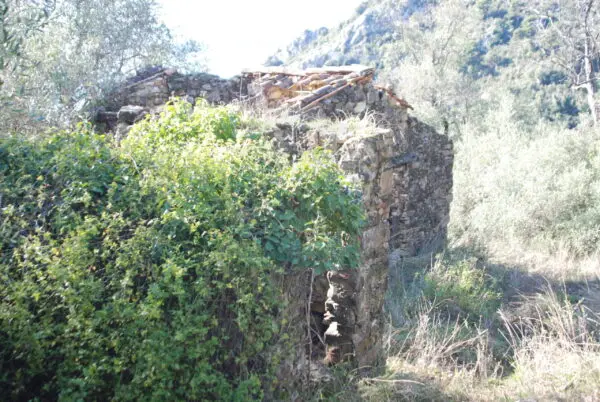 Area Verde via Case Gina 13, Ventimiglia