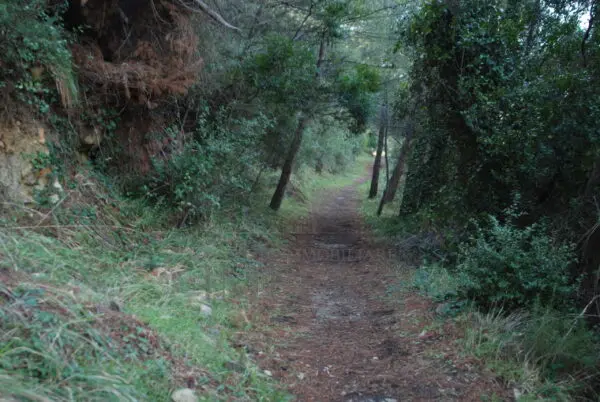 Area Verde via Case Gina 13, Ventimiglia