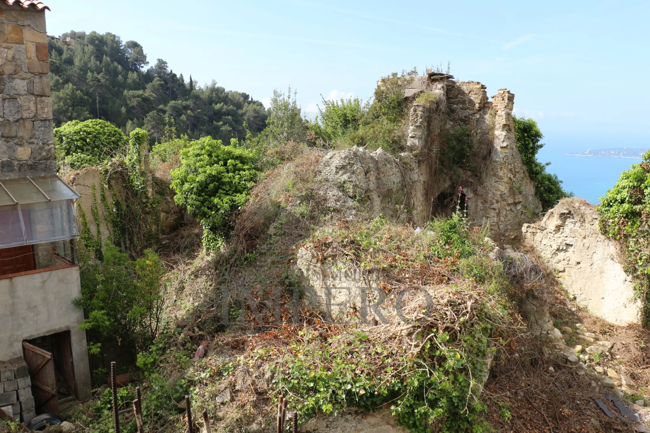 Immagine per Area verde in vendita a Ventimiglia via Case Gina 13