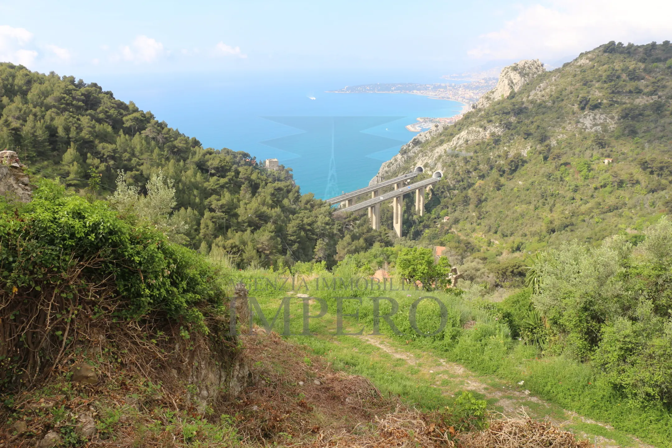 Immagine per Area verde in vendita a Ventimiglia via Case Gina 13