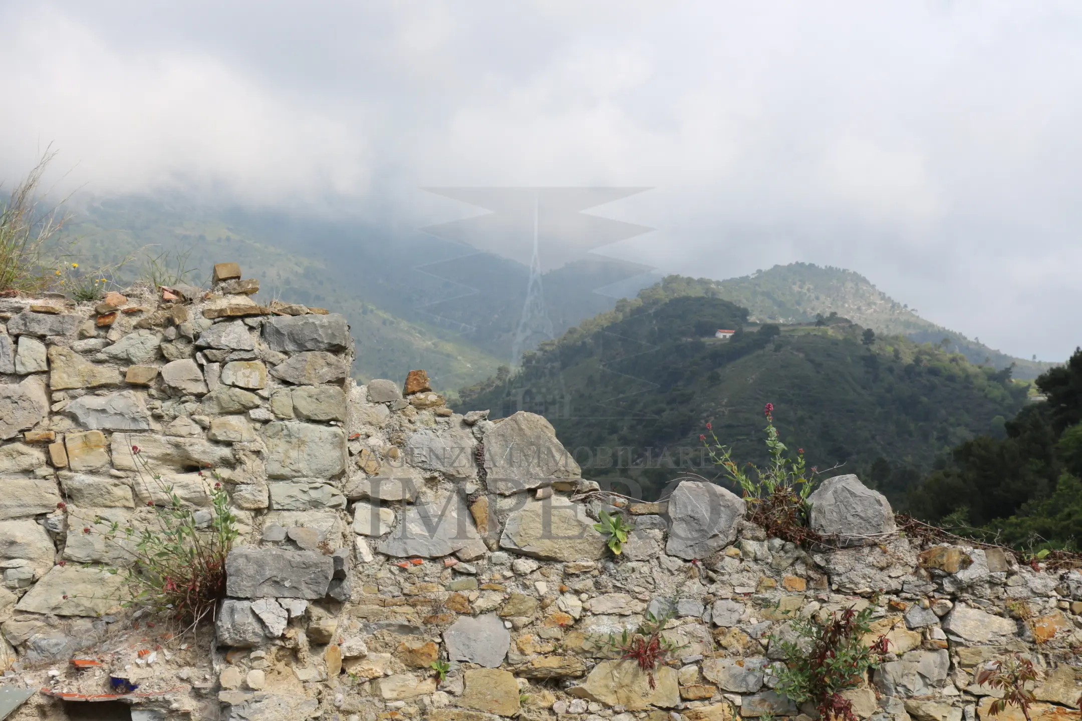 Immagine per Area verde in vendita a Ventimiglia via Case Gina 13