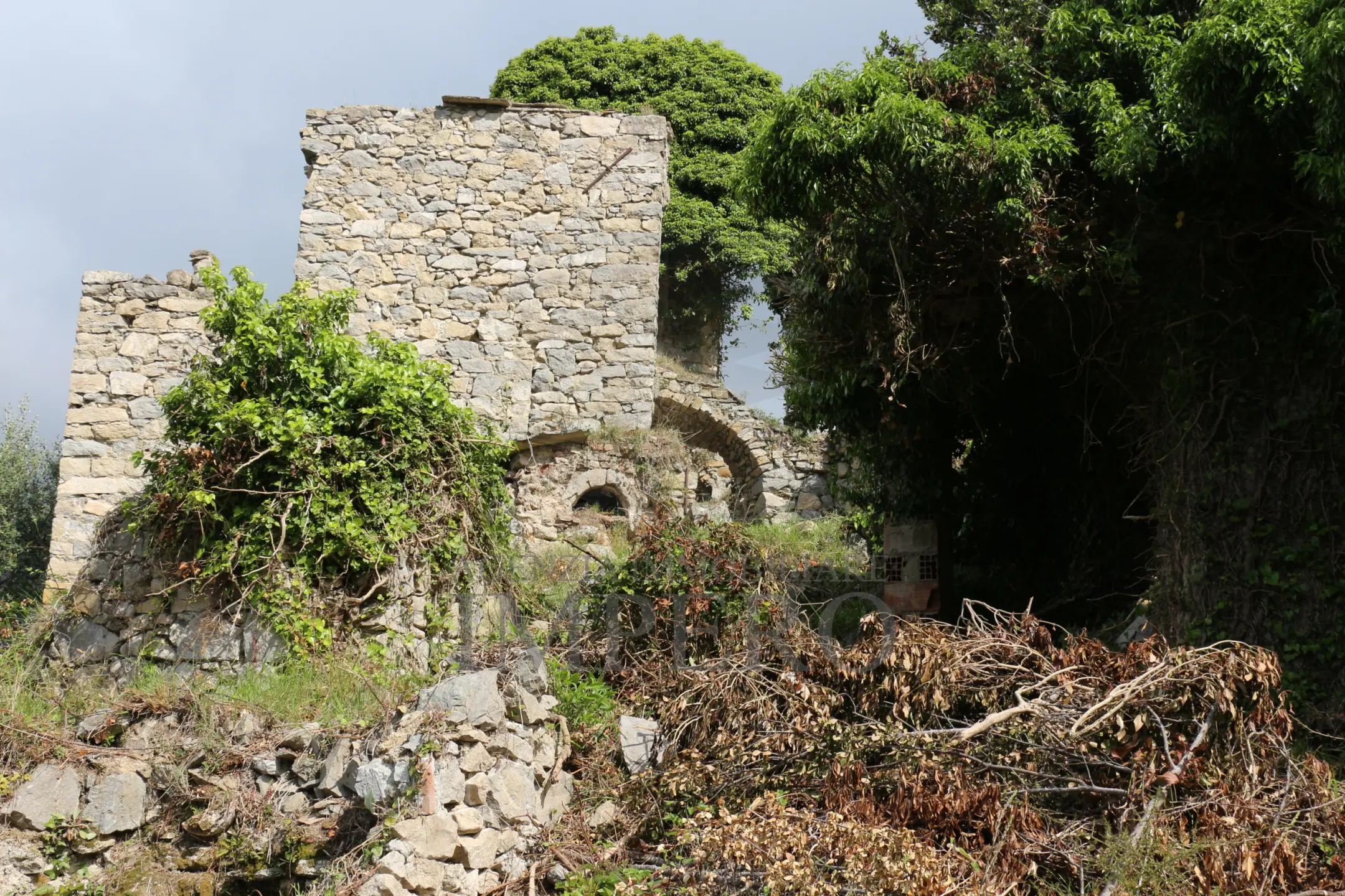 Immagine per Area verde in vendita a Ventimiglia via Case Gina 13