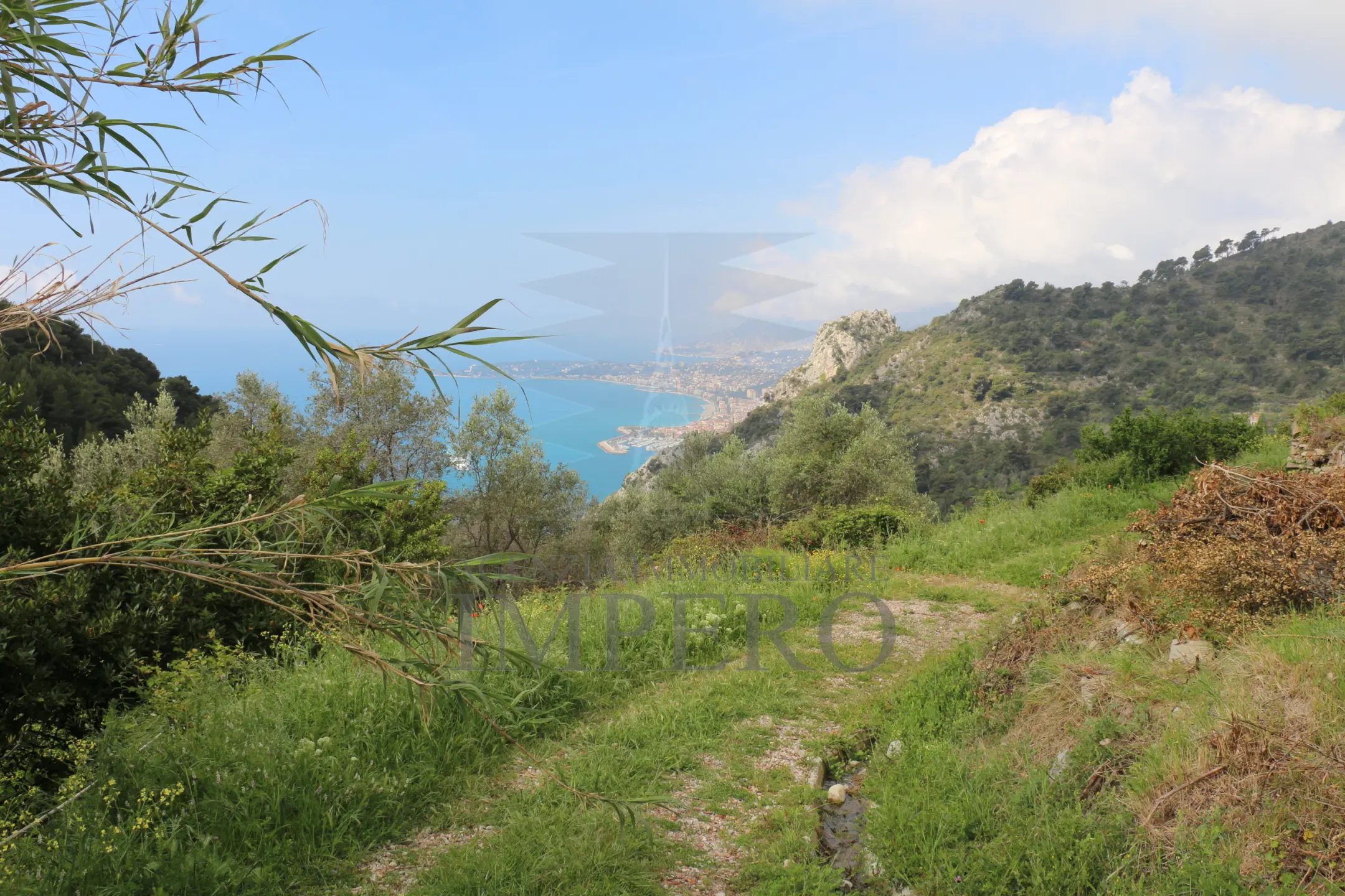 Immagine per Area verde in vendita a Ventimiglia via Case Gina 13