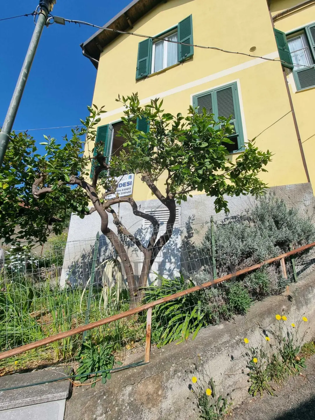 Immagine per Porzione di casa in vendita a Vallecrosia via Poggio Ponente 5