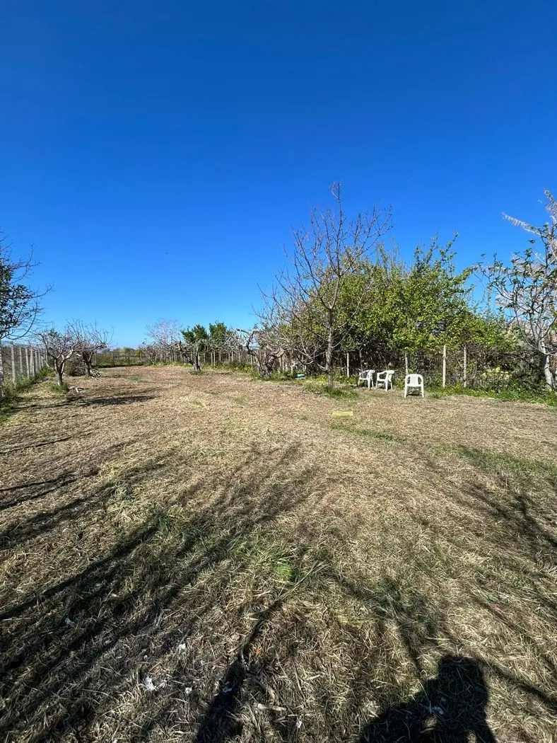 Immagine per Terreno Agricolo in vendita a Scalea via Del Mare 00